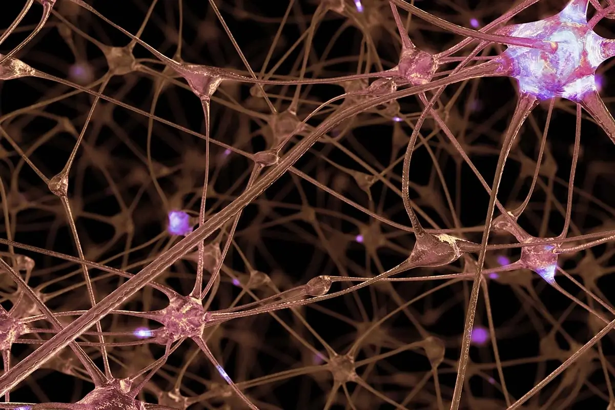 cns-depressants-and-their-mechanisms-of-action