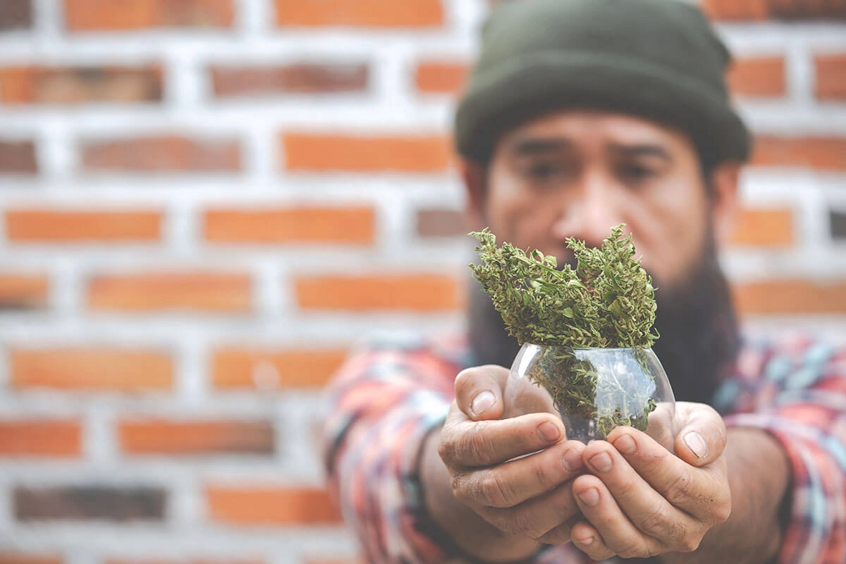 marijuana-recovery-and-long-term-cannabis-recovery-outcomes