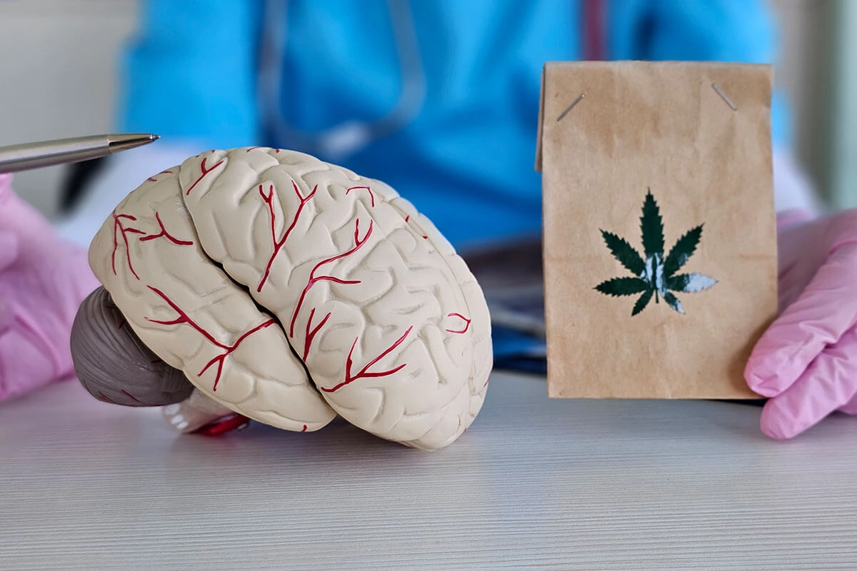 neurobiological-evidence-behind-cannabis-addiction