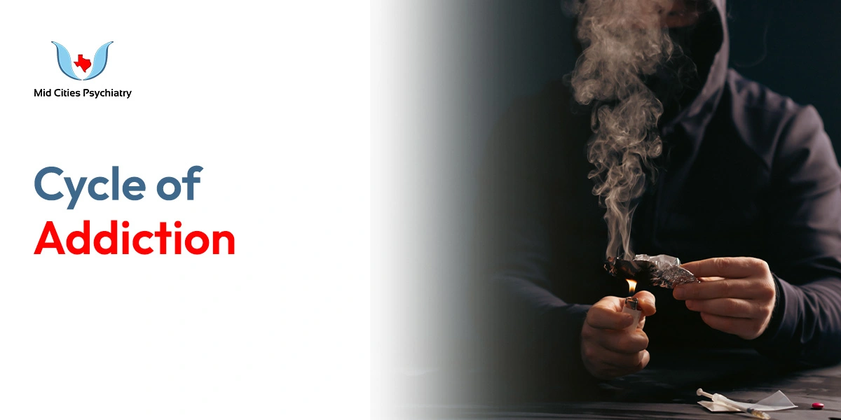 the cycle of addiction what are the stages of addiction