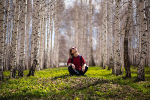 Green Healing Unraveling the Powerful Impact of Ecotherapy on Mental Health