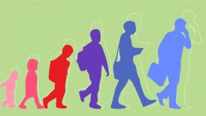 stages of development